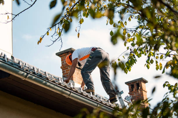 Best Roof Gutter Cleaning  in Coord, NC